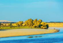 屬牛的2019年10月運勢