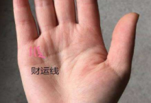 怎么看手相圖解,怎么看手相財運