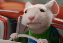 2020年屬鼠本命年帶什么轉(zhuǎn)運(yùn)好運(yùn)起來(lái)