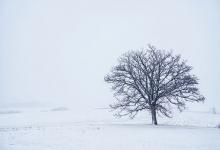 屬鼠的人2020年2月運勢