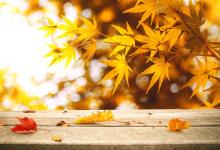 屬蛇的人2019年9月運勢