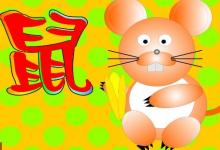 9日出生屬鼠孩子命運如何？擁有豐富的想像力？