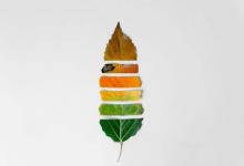 屬蛇的人2019年10月運勢