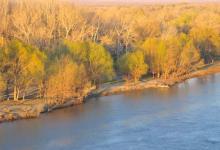 屬豬的人2019年12月生肖運勢