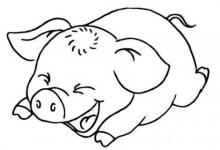 屬豬人2021年佩戴什么開運吉祥物好?男性女性牛年屬豬的帶什么招財運