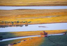 屬兔的人2019年11月運勢