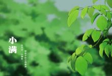 2020年小滿前一天燒香祈福好嗎,2020小滿天氣開始熱了嗎