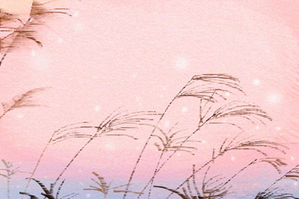 測你玩***的手段是否高明(圖文)