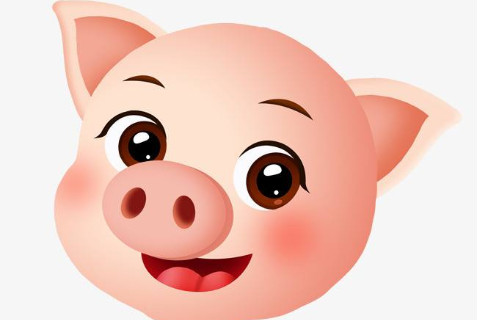 出生于1974年屬豬的人2020年運程大全