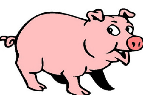 生肖豬和生肖猴的合財嗎?