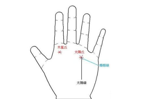 手相分析:一個(gè)人的掌丘中每個(gè)部分都有什么含義,什么作用?