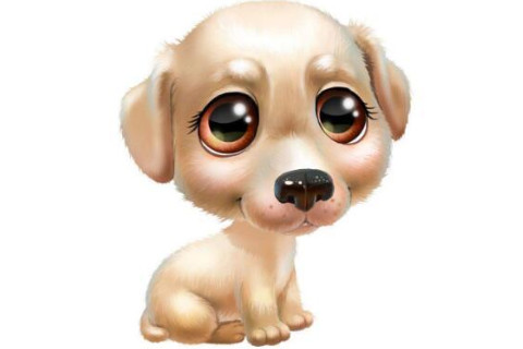 生肖狗和生肖蛇的合財嗎?