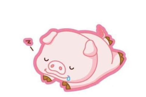 屬豬的幾月出生最好,命運是最好的