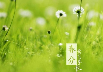 屬牛春分出生的人命運好不好 是什么命?(圖文)