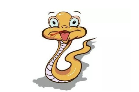 生肖蛇男人與其他屬相女人人結合的婚姻狀況如何,好不好?