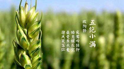 2020年農歷四月二十八·5月20日小滿是遷墳的吉日嗎?(圖文)