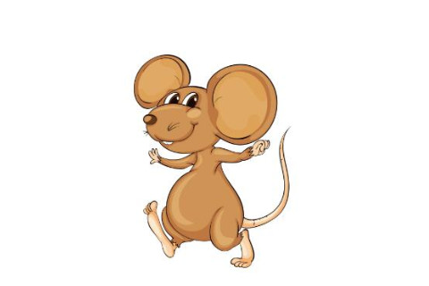 1996年出生的生肖女婚姻運程