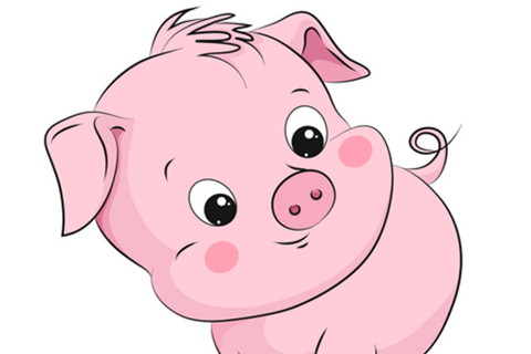 2019年出生屬豬男2020年運勢怎么樣，2歲屬豬男的命運