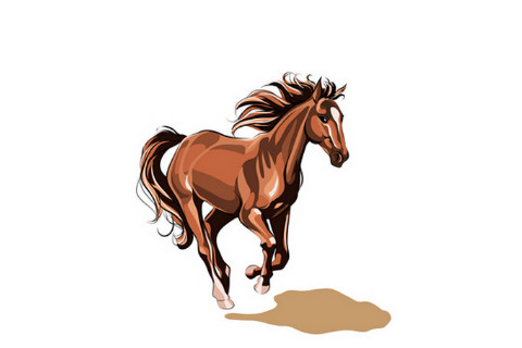 出生于2014年屬馬的人2020年運程大全