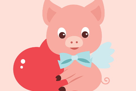 2007年屬豬生人運勢及運程男命女命 2020年13歲屬豬佩戴什么