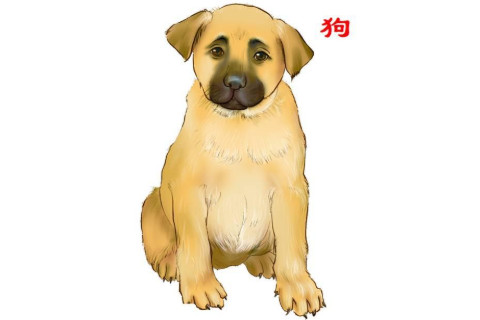 生肖狗和生肖馬的合財嗎？