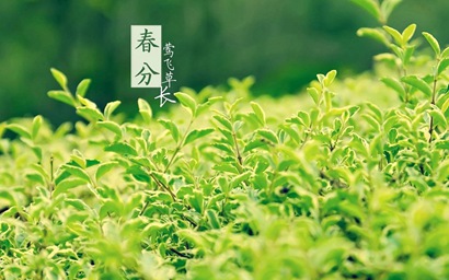 屬牛春分出生的人命運好不好 是什么命?(圖文)