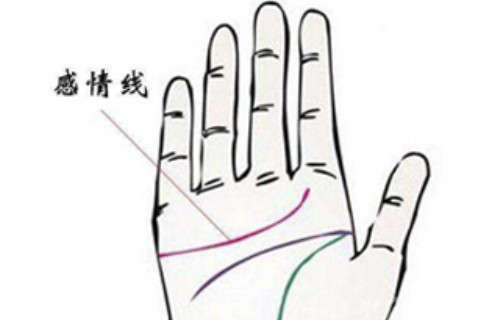 怎么從感情線手相看出一個人的性格和命運(yùn),讓我們來給你分析