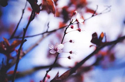 2020農歷閏四月有多少天,閏四月要給爸媽買鞋嗎?(圖文)