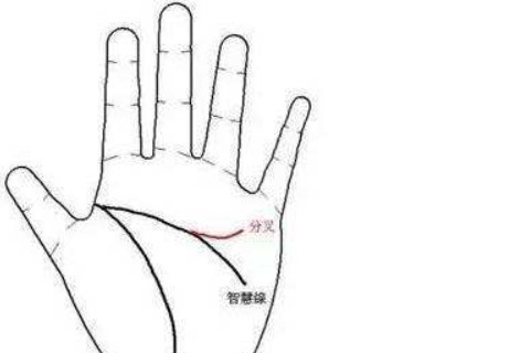 手相圖解:智慧線中間分叉是什么意思?