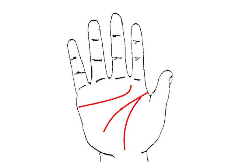 一個有著川字掌的女人性格倔強