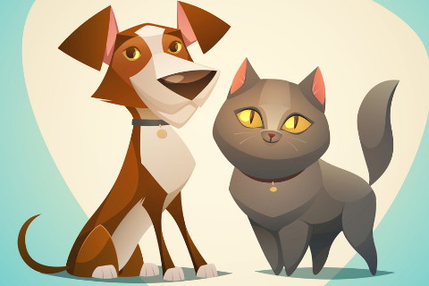 2006年屬狗生人運勢及運程男命女命 2020年14歲屬狗佩戴什么