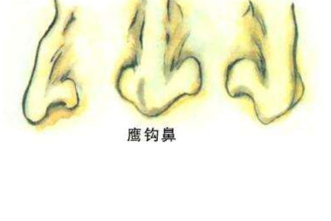 有著鷹鉤鼻的女人的性格好還是壞?面相如何?