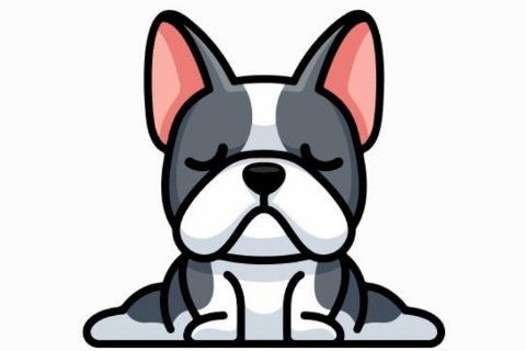 1958年屬狗生人運勢及運程男命女命 2020年62歲屬狗佩戴什么