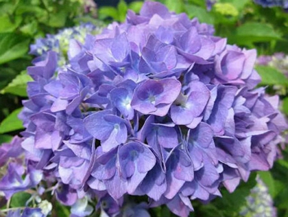 閏四月忌遷墳嗎,閏四月回娘家吃閏月飯嗎?(圖文)