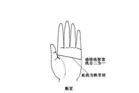 左手斷掌的女人和男人結婚好嗎