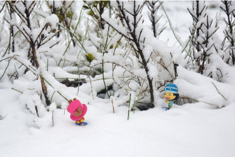 夢(mèng)見(jiàn)下大雪