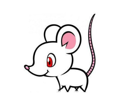 生肖兔和生肖猴的合財嗎?