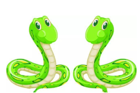 生肖蛇和生肖鼠的合財(cái)嗎？