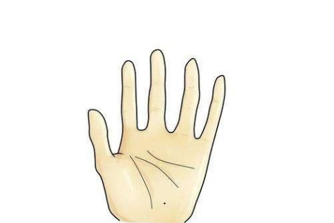 掌中有痣的命格這么樣 命格孤獨