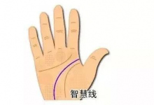 看手相算命圖解,能夠憑借知識改變命運的人有哪些?