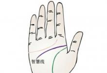 手相智慧線代表什么意思?