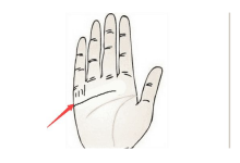 財運線圖解女中什么樣的女人財氣最盛,一起來分析一波