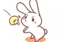 出生于1987年屬兔的人2020年運程大全