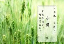 2020年小滿節氣時辰(亥時)出生鼠寶寶命好不好?