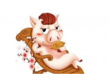 生肖豬和生肖馬的合財嗎?