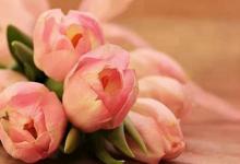 2020年農歷閏四月的節日,關于閏月鞋閏月襪閏月衣閏月飯