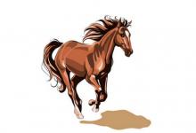 生肖馬人2020年6月份整體生肖運勢