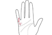 財運線圖解女怎么看,全在這里解讀