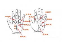 教你如何從手相看財(cái)運(yùn)