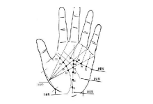 財運線越長越好?優秀財運線長這樣,你有嗎?